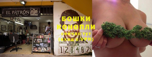 гашик Белокуриха