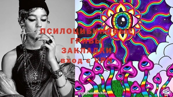 гашик Белокуриха