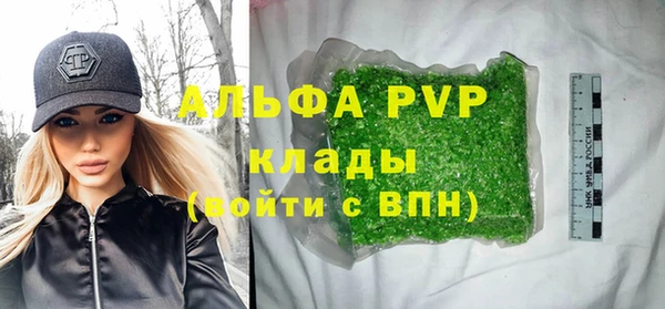 гашик Белокуриха