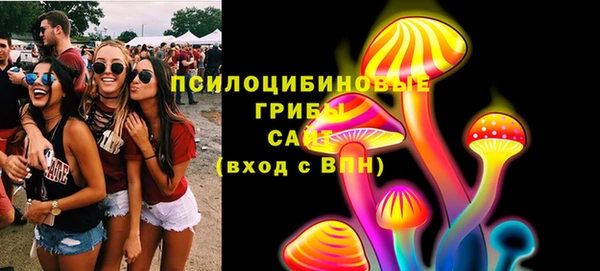 гашик Белокуриха