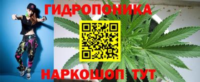 ГАЛЛЮЦИНОГЕННЫЕ ГРИБЫ Заводоуковск