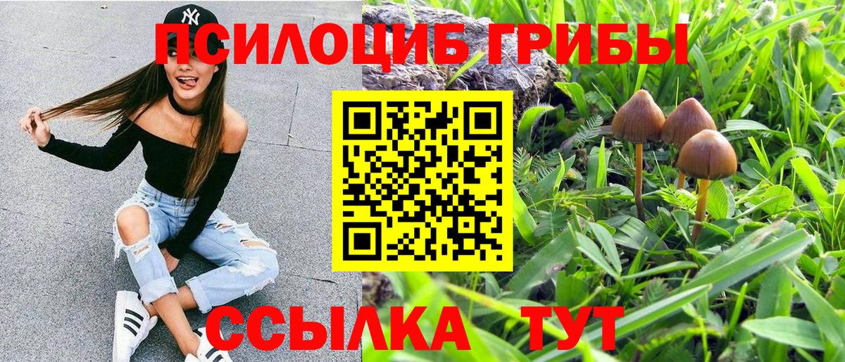 Луховицы  даркнет сайт  Вход с VPN  Псилоцибиновые грибы MAGIC MUSHROOMS  Галлюциногенные грибы Psilocybe 