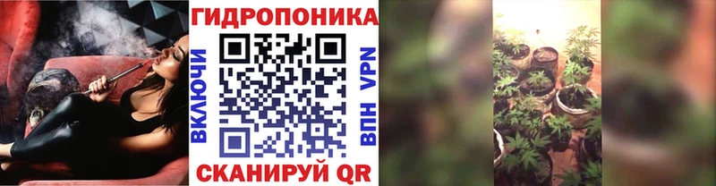 Шишки марихуана план  OMG онион  Луховицы 